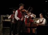 IMG_7949.jpg
