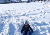 IMG-20250120-WA0024.jpg