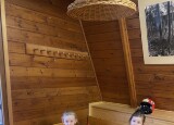 IMG_2957.jpeg