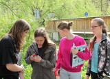 IMG_8327.JPG