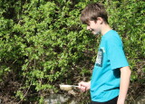 IMG_8292.JPG