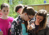 IMG_8341.JPG