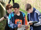 IMG_8310.JPG