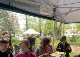 IMG_5001.jpeg