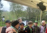 IMG_5010.jpeg