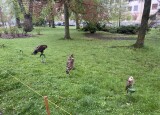IMG_5007.jpeg