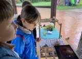 IMG_5035.jpeg