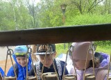 IMG_5014.jpeg