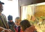 IMG_5229.jpeg