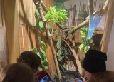 IMG_5230.jpeg