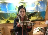 IMG_5238.jpeg