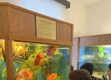 IMG_5221.jpeg