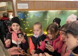 IMG_5222.jpeg