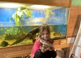 IMG_5233.jpeg