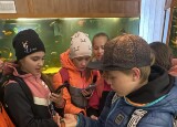IMG_5224.jpeg