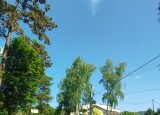 1749111162968.jpg
