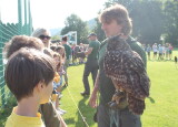 IMG_8554.JPG