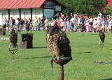 IMG_8552.JPG