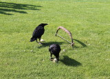 IMG_8572.JPG