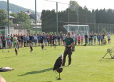 IMG_8533.JPG