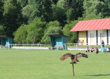 IMG_8574.JPG