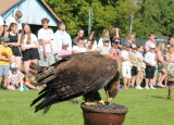 IMG_8587.JPG