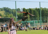 IMG_8585.JPG