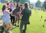 IMG_8570.JPG