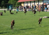 IMG_8527.JPG