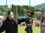 IMG_8581.JPG