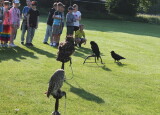 IMG_8528.JPG