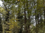 IMG_0916.jpeg