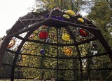 IMG_0921 (1).jpeg