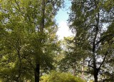 IMG_0912.jpeg