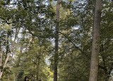 IMG_0910.jpeg