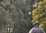 IMG_0909.jpeg