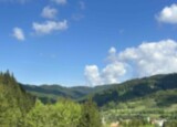 IMG_5352.jpeg