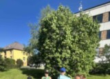 IMG_5931.jpeg