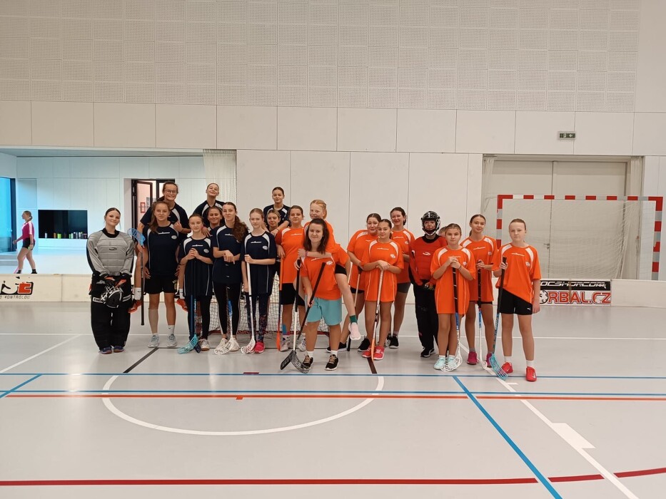 Okrsková florbalová liga